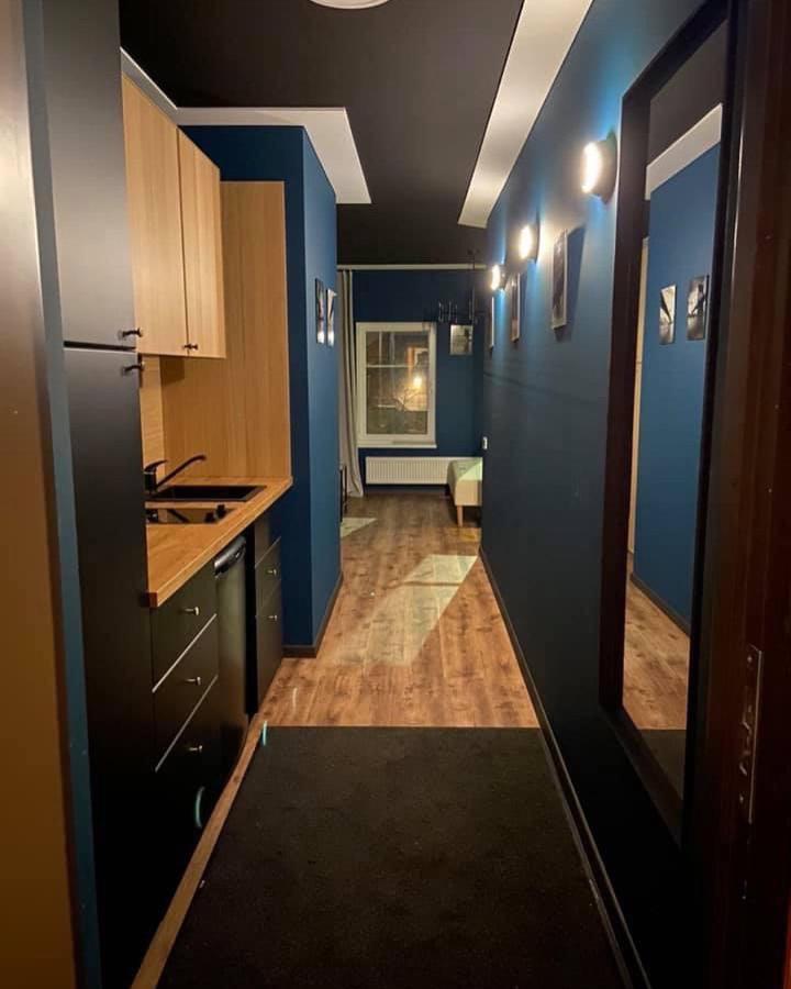 Apartments In 카우나스 외부 사진